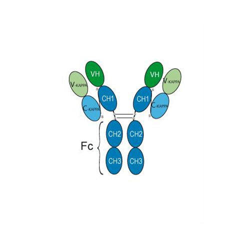 Trevogrumab peptide vial, 1mg