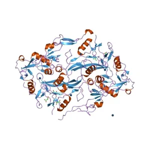 Follistatin 315 peptide vial from Umbrella Labs