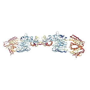 Myostatin (GDF-8) peptide vial from Umbrella Labs